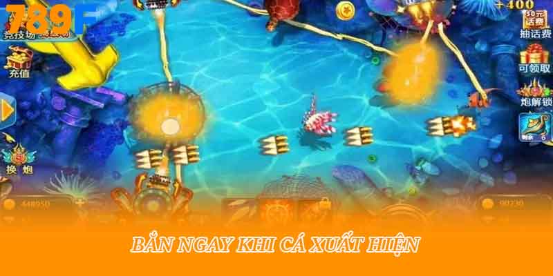 Bắn ngay khi cá xuất hiện