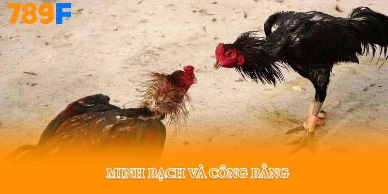 Minh bạch và công bằng