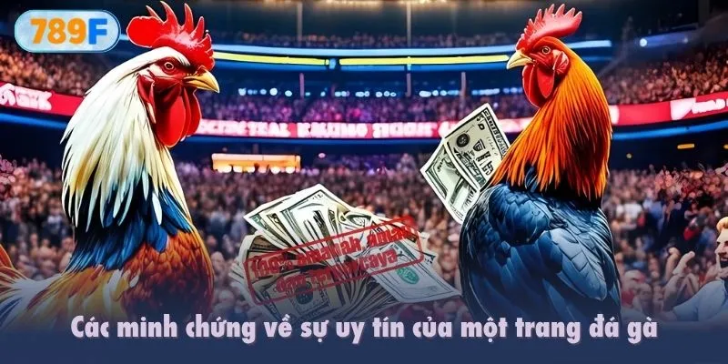 Các minh chứng về sự uy tín của một trang đá gà