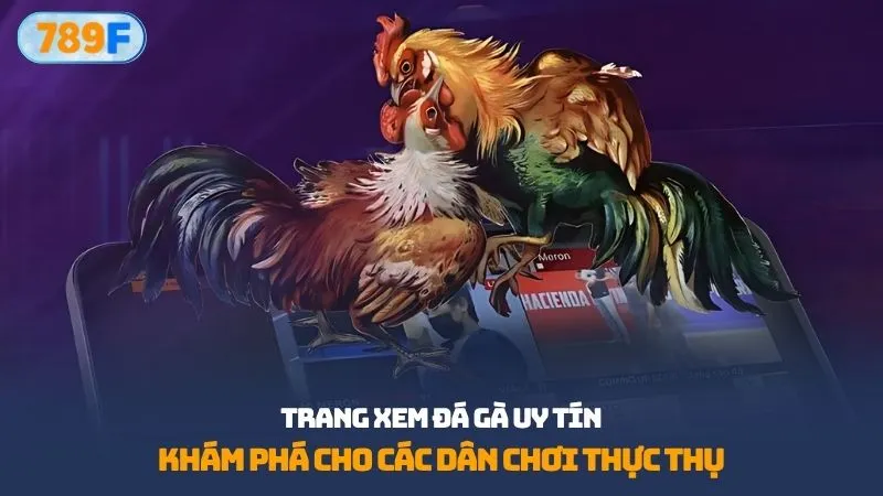 trang xem đá gà uy tín