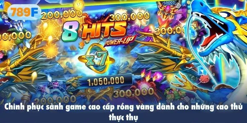 Chinh phục sảnh game cao cấp rồng vàng dành cho những cao thủ thực thụ